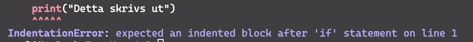 IndentationError i terminal vid fel indrag