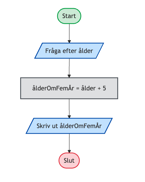 Flödesschema för ålder om fem år