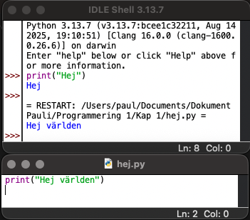 Kört Pythonprogram i IDLE med utskriften Hej världen